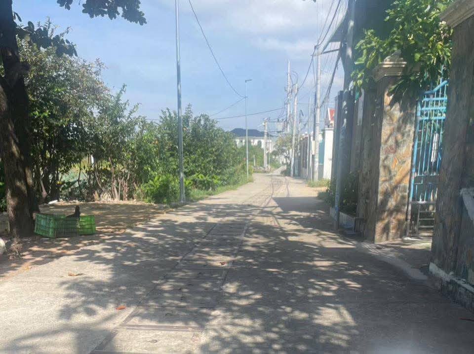 Bán Đất Long Hoà Dầu Tiếng 215m² Sổ Hồng - Giá 2.1 Tỷ