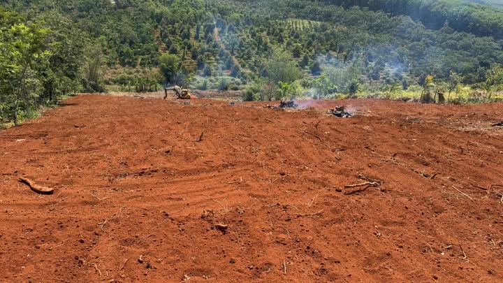 Farm 7040m² Đắk Sin, Đắk Nông - Mặt đường nhựa, sẵn sàng canh tác