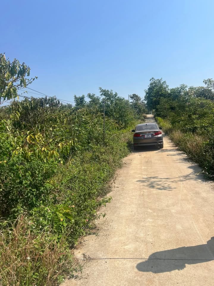 Bán Gấp Đất Nền 500m² Xã Bình Giã, Châu Đức - Giá 700 Triệu TL