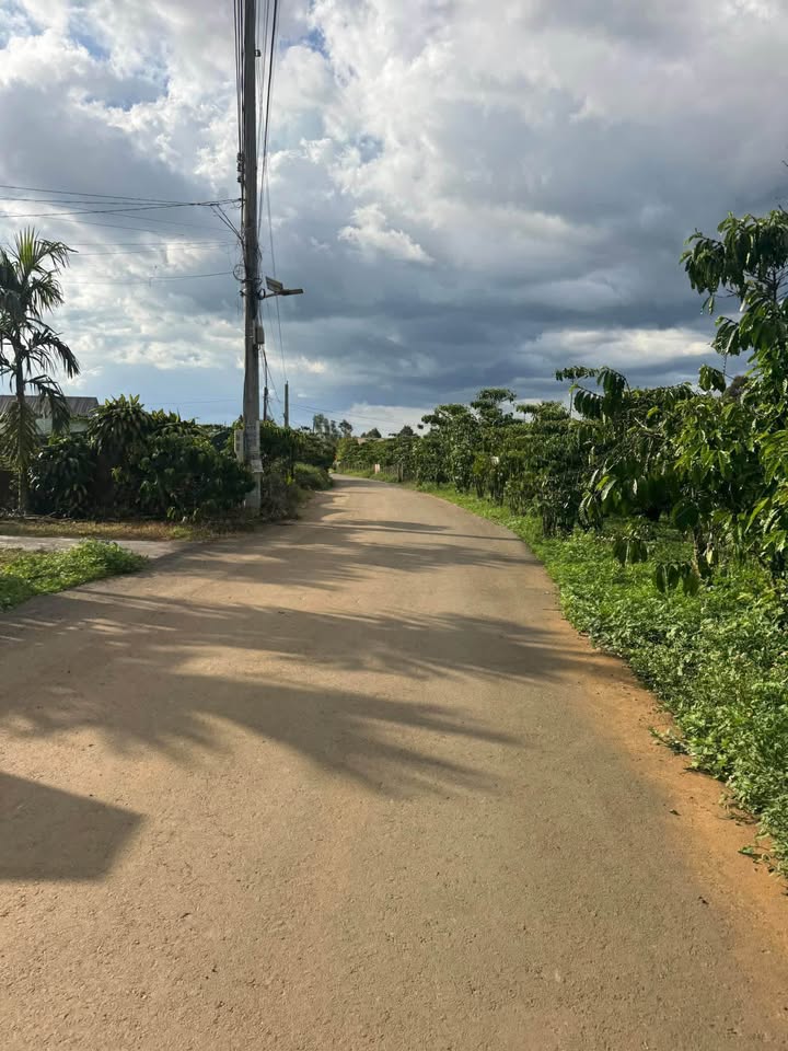 Đất Vàng 1030m² Hoàng Diệu, Q4 - Sổ Hồng Riêng, Giá 2 Tỷ Đầu Tư