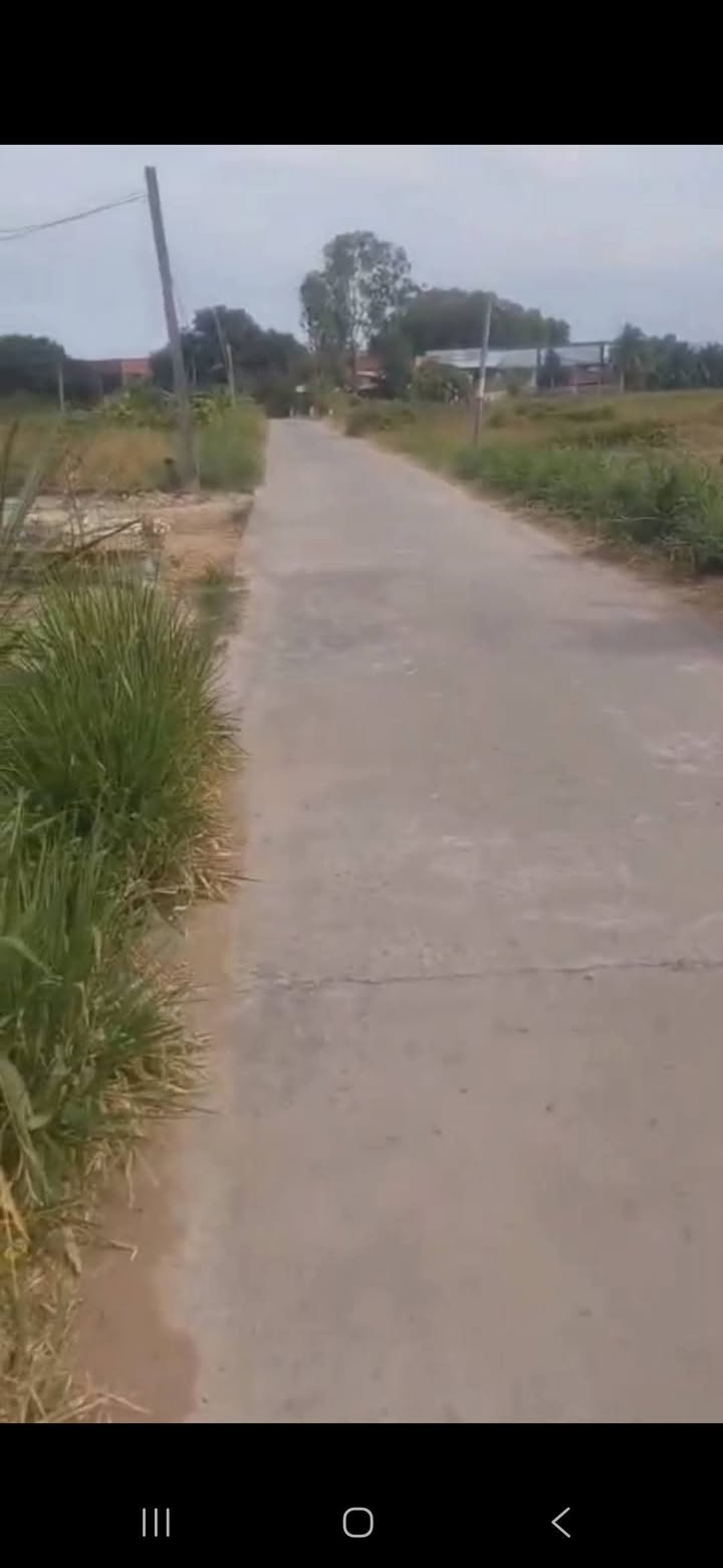 Đất Nền Bến Tre 1400m² - An Hoà Tây, Ba Tri - Sẵn Nền Cao, Xe 7 Chỗ