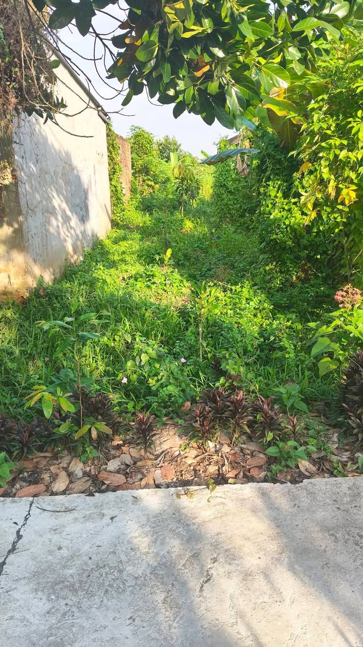 Đất Nền Sổ Riêng 157m² Gần Cầu Ông Quý, Tiền Giang - 650 Triệu