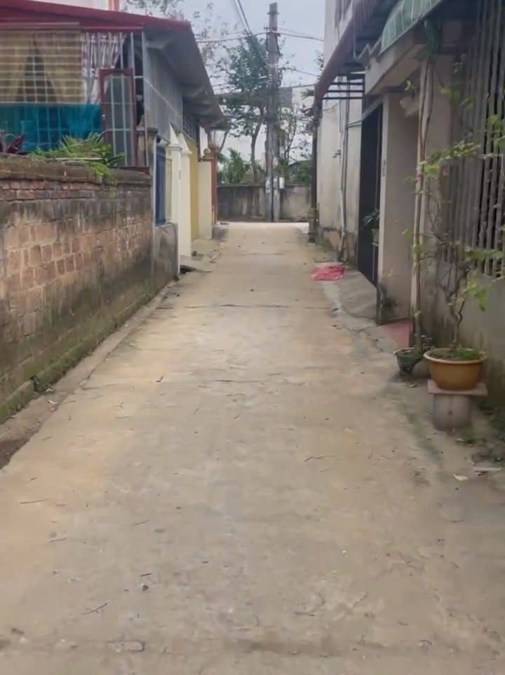 Đất thổ cư 116m² Phố Tân Thịnh, Thanh Sơn, Phú Thọ - Sổ hồng sẵn sàng