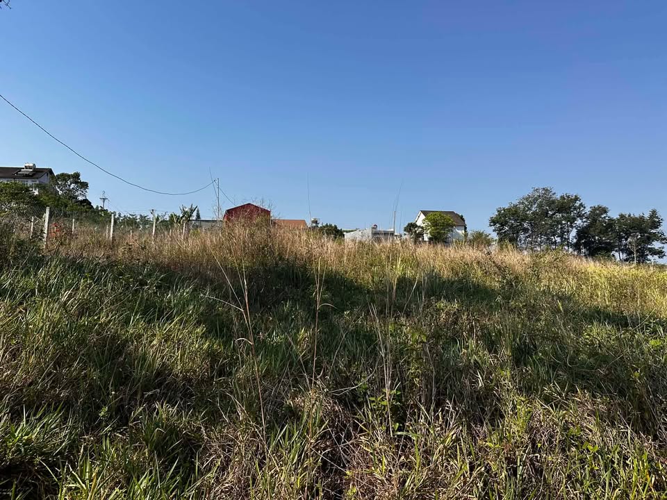 Đất Nền Đắk Nông 1050m² - Giá Rẻ 650 Triệu, Thổ Cư Sẵn Sàng