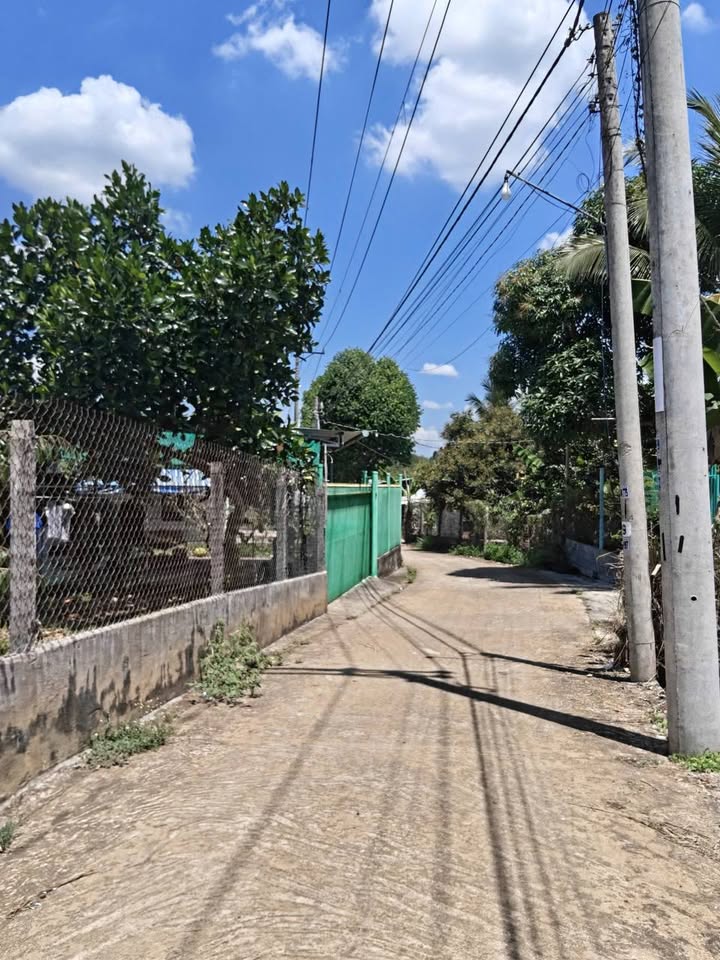 Đất Vườn Nghỉ Dưỡng 500m² Gần Spring Garden - Giá 890 Triệu