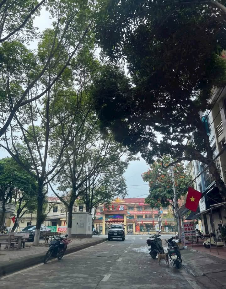 Nhà Phố Mạc Đĩnh Chi, Sa Pa - 80m² Kinh Doanh, 3PN, 3.38 Tỷ