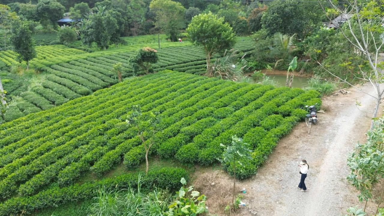 Bán Đất Vườn 2600m² Xã Vô Tranh, Phú Lương - Giá Thỏa Thuận