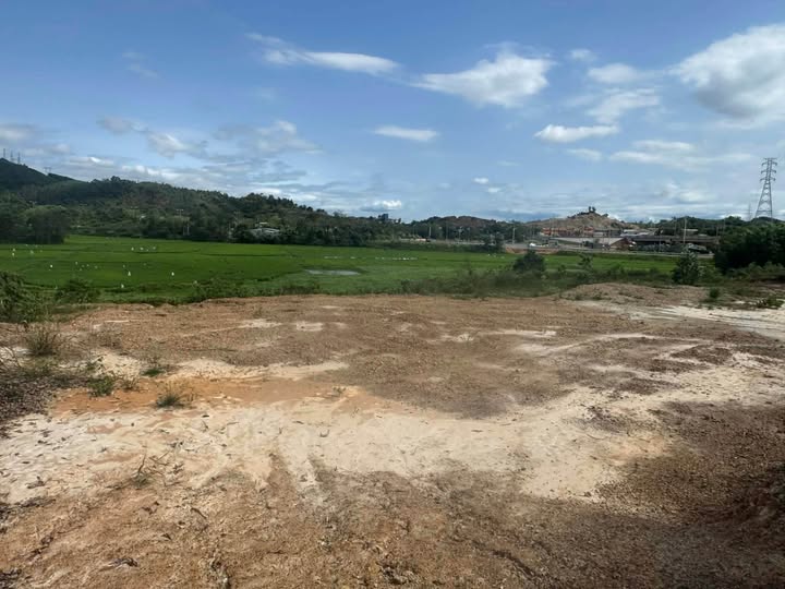 Bán đất vườn 1097m² view đồng Hoàng Văn Thái, Tam Kỳ - Giá 6.5 tỷ