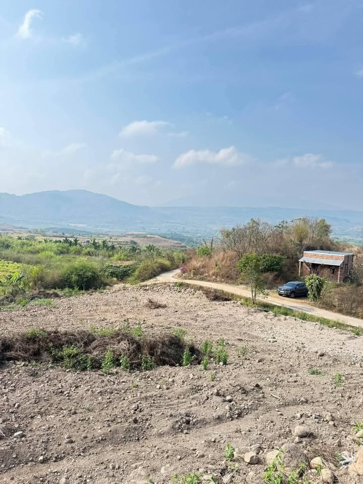 Đất Nền 720m² Đan Phượng, Lâm Hà - Sổ Đỏ, Giá 650 Triệu