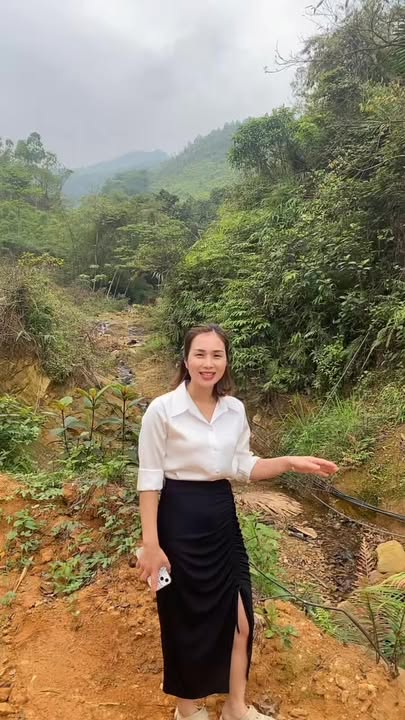 Đất Nền Phú Thọ 5000m² - Sổ Đỏ Chính Chủ, Tiềm Năng Nghỉ Dưỡng & Trang Trại