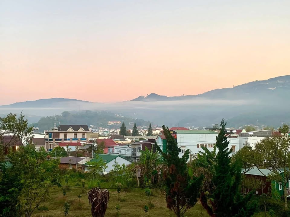 Đất Nền Đơn Dương 544m² - View Đồi Thông Đẹp, Giá 2 Tỷ XXX