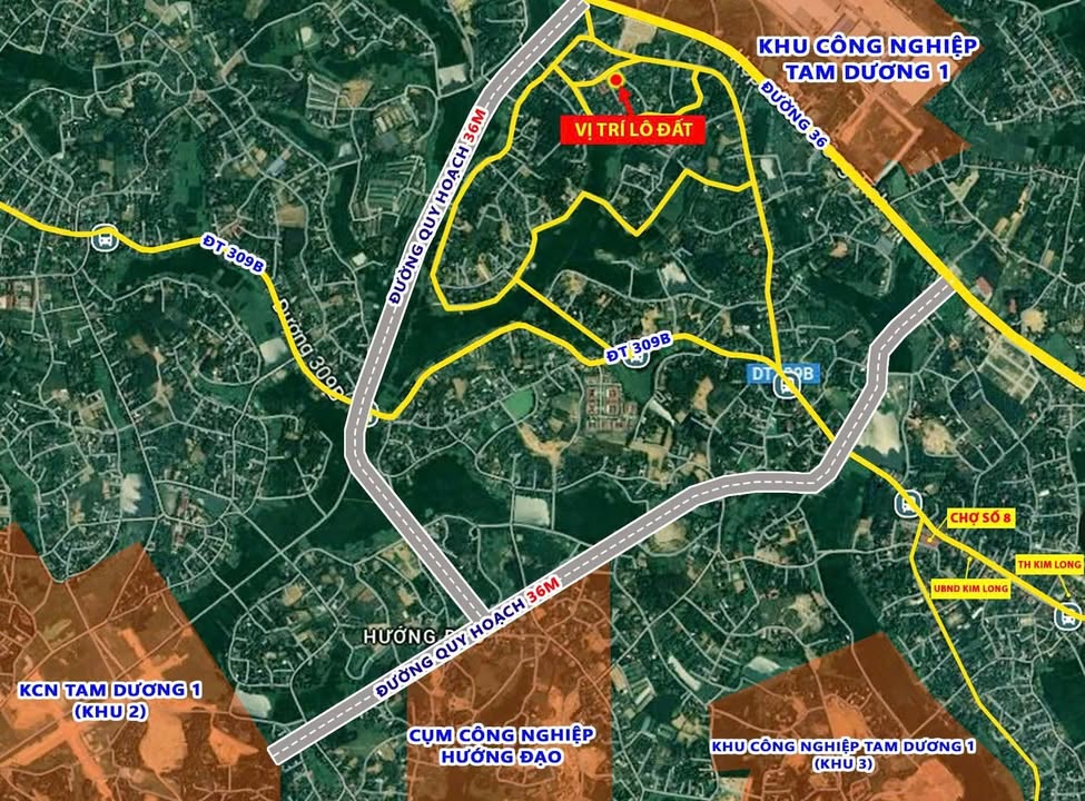 Đất Nền Tam Dương Vĩnh Phúc 115m² - Sát KCN, Giá Đầu Tư 1.4 Tỷ