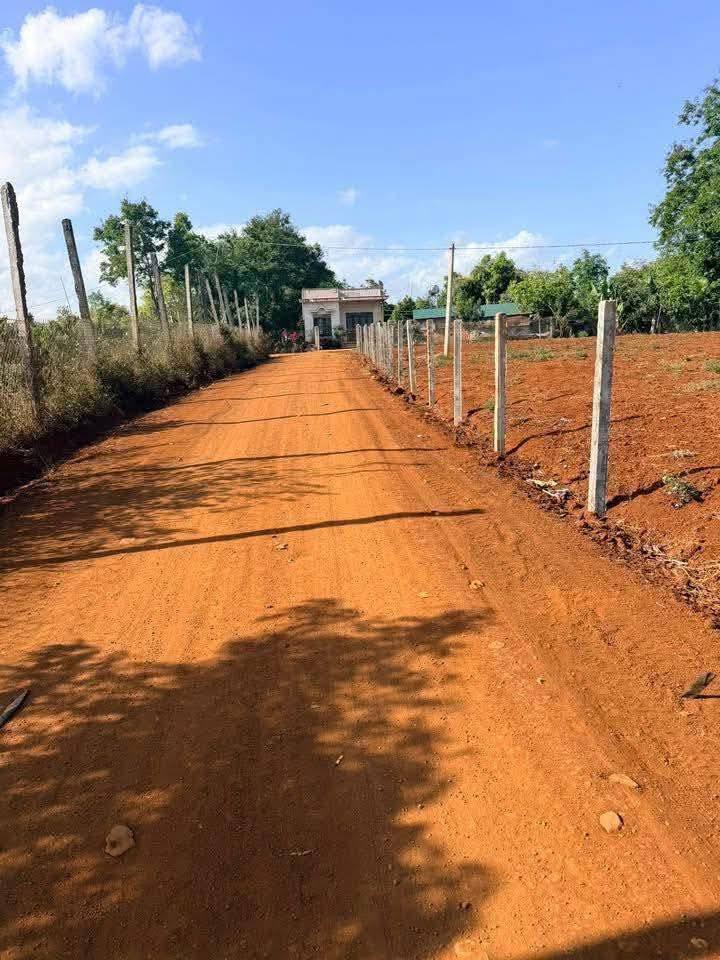 Đất Nền Ea Drong Đắk Lắk 2000m² - Sẵn Sổ, Giá 1.1 Tỷ