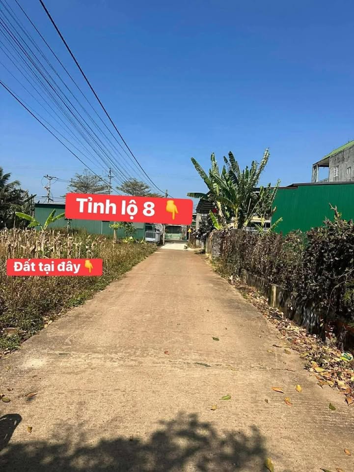 Đất nền 150m² mặt tiền Tỉnh lộ 8, Cư Jút - Kinh doanh đắc lợi