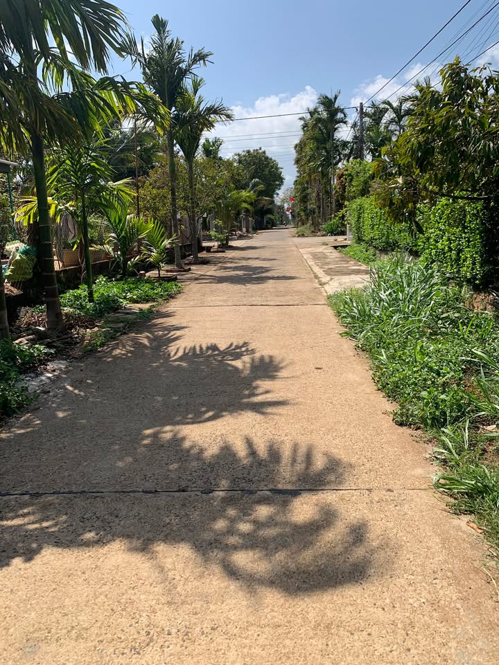 Đất Cư M'gar Đắk Lắk 330m² - Giá Đầu Tư 1.3 Tỷ