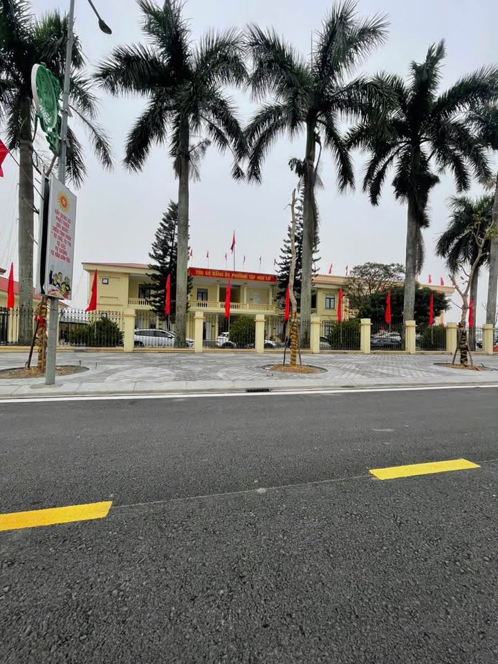 Đất Vàng Ninh Giang, Ninh Bình: Hơn 200m² Mặt Tiền Rộng, Đầu Tư Sinh Lời