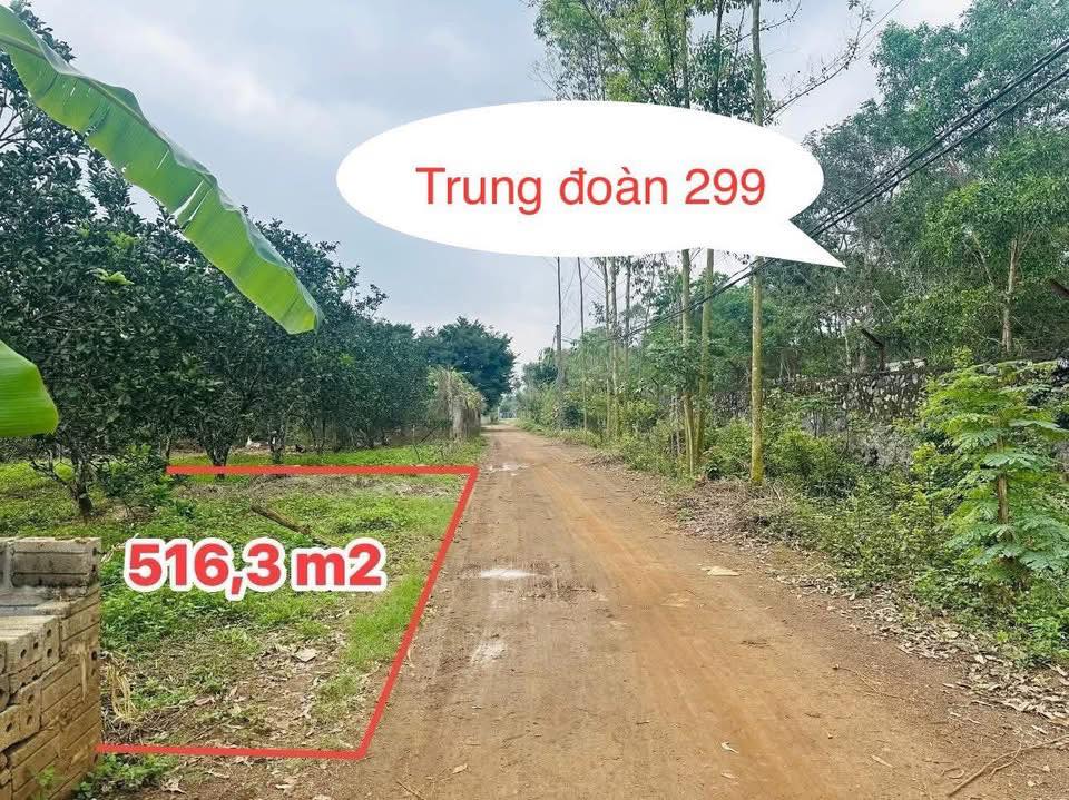 Đất Nghỉ Dưỡng Yên Trị, Phú Thọ 516m² - Sẵn Sàng Đầu Tư