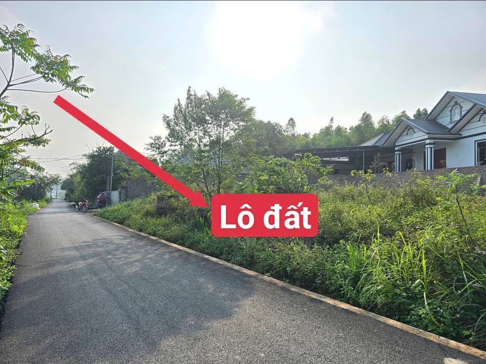 Bán đất Làng Mạ Tam Quan, Phúc Yên 134.7m² - Đường ô tô tránh, giá chỉ 8xx triệu