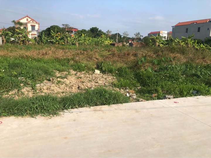 Đất Nền Bắc Ninh 160m² - Lô Làn 2 Phú Lương, Lương Tài - View Cánh Đồng Thoáng Mát
