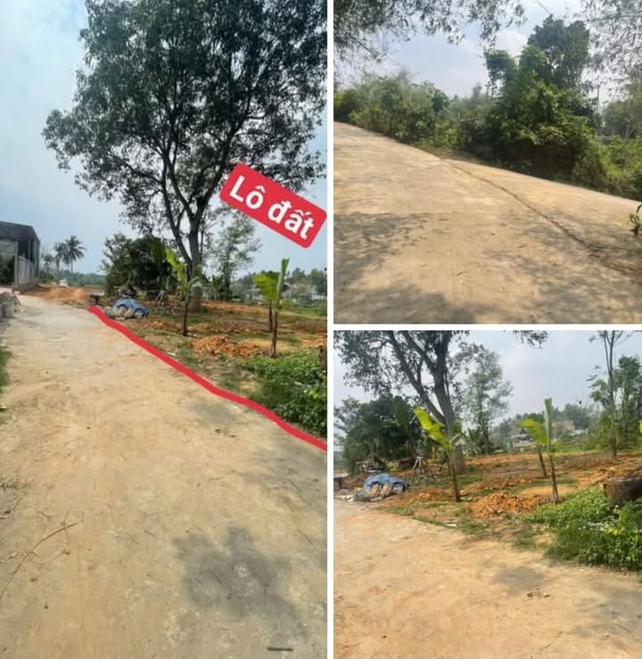 Đất Lập Thạch Vĩnh Phúc 214m² - Chỉ 500 Triệu - Sổ Đỏ Rõ Ràng