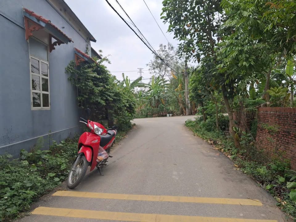 Đất nền Bình Xuyên Vĩnh Phúc 147.6m² - Sổ đỏ, gần KCN, đầu tư sinh lời