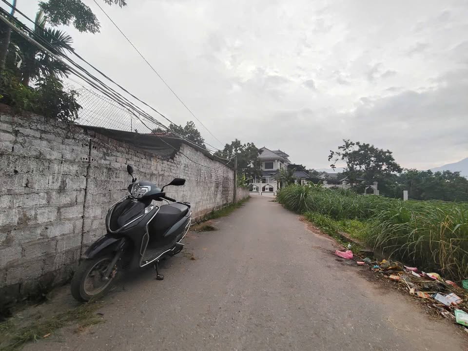 Bán Đất Vĩnh Phúc 106.5m² Thổ cư Tam Dương - Sẵn Sổ Đỏ