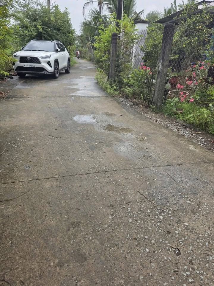 Bán Đất Vườn Long An 1000m² - Sổ Đỏ Vuông Vức, Giá 1.25 Tỷ