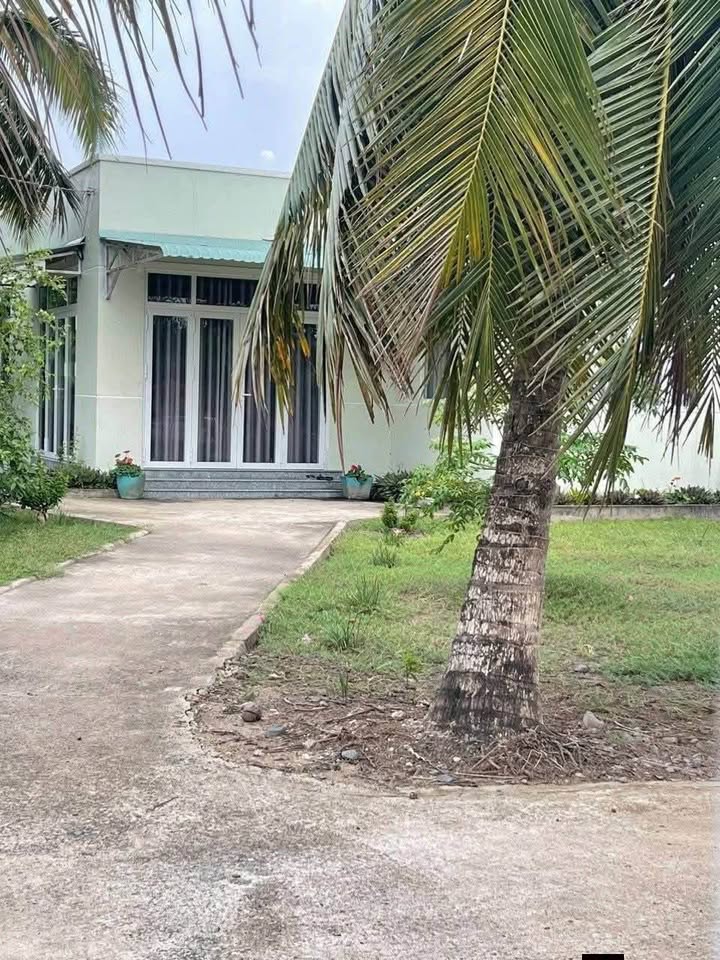 Nhà Vườn 800m² Tân An, Long An - 2.5 Tỷ - Sẵn Sàng Nghỉ Dưỡng