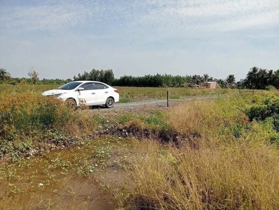 Đất Vườn Long An - Lô Duy Nhất 500m² Lương Bình, Bến Lức - Sổ Hồng Riêng