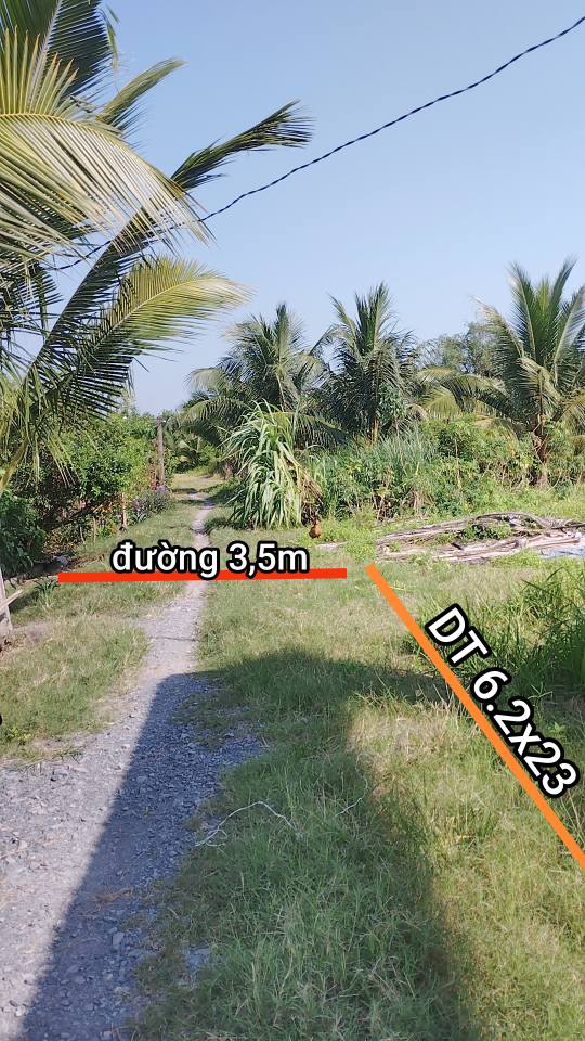 Bán Đất Nền Bến Lức 142m² Sổ Hồng Thổ Cư - Giá Đầu Tư Tốt