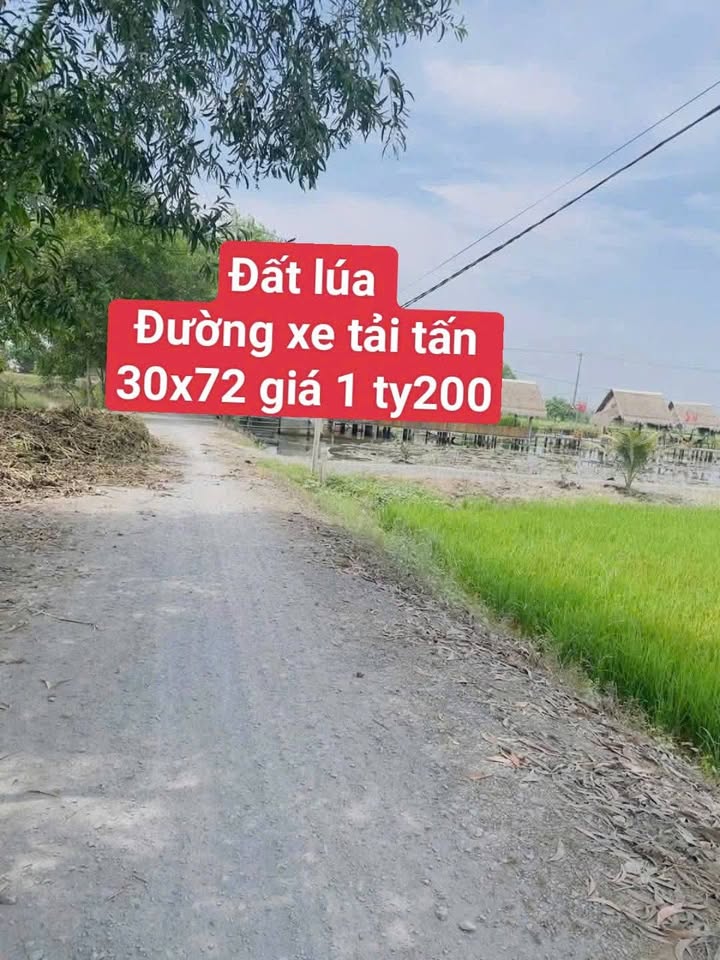 Đất Lúa Đức Hòa 2774m² - Sổ Hồng Sẵn Sàng, Giá Đầu Tư 1.2 Tỷ