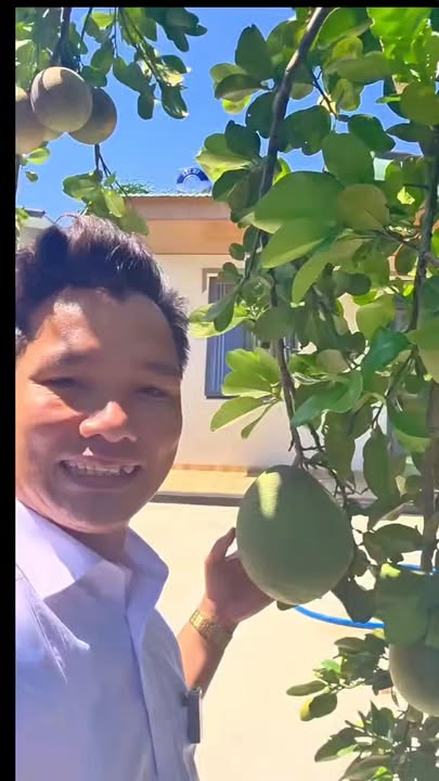 Bán Gấp Nhà Kép Bảo Vinh, Long Khánh - 500m², 2PN, Ô tô vào nhà