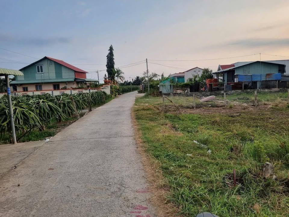 Bán Gấp 2 Lô Liền Kề 224m² Mặt Tiền Phước Tân Hưng, Long An - Giá 560 Triệu