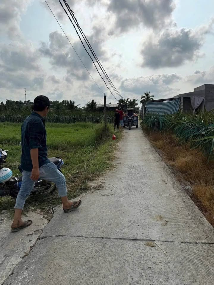 Bán Đất An Vĩnh Ngãi, Long An - 101.78m² - Sổ Đỏ Sẵn Sàng