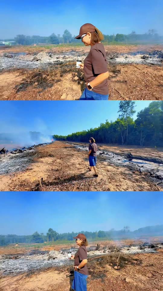 Đất Vườn Nghỉ Dưỡng 10.156m² - Sổ Đỏ Chính Chủ, Giá Đầu Tư 10.1 Tỷ