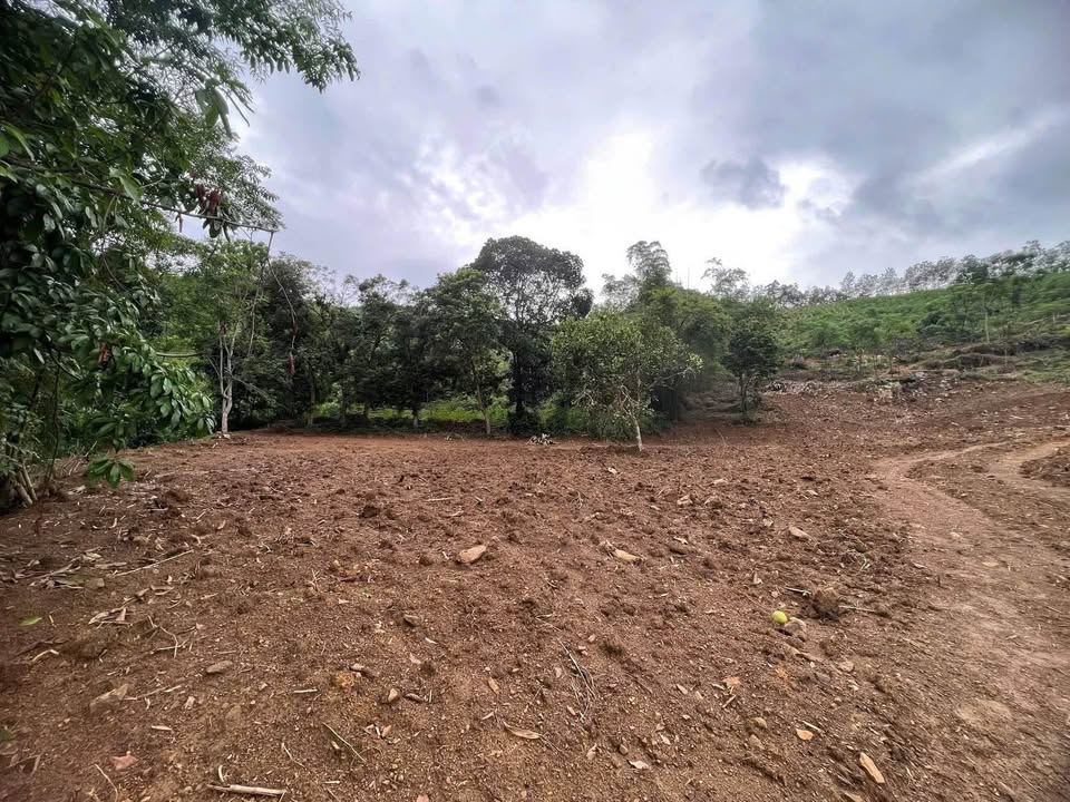 Đất nền Lạc Lương, Hòa Bình 4010m² - Sổ hồng, view đồi núi