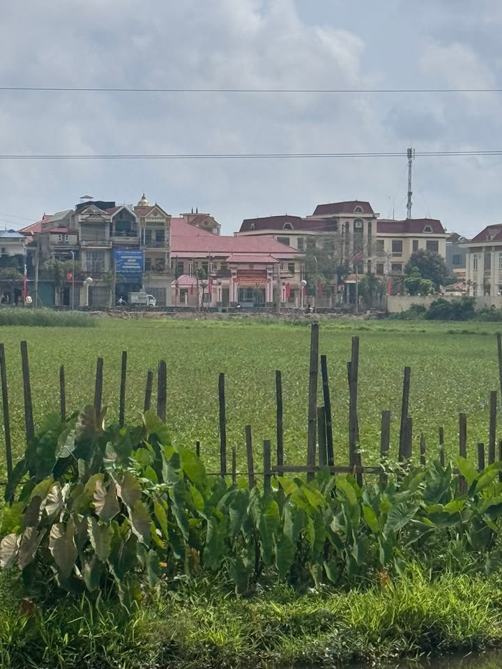 Bán Đất Vàng 132m² Cổ Lễ, Nam Định - View Sông Thoáng Đãng