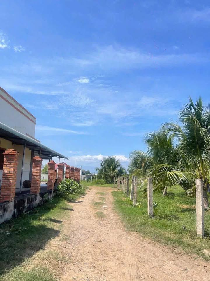 Đất 1000m² 2 Mặt Tiền Hồng Sơn - Sổ Hồng Sẵn Sàng - Giá 310 Triệu