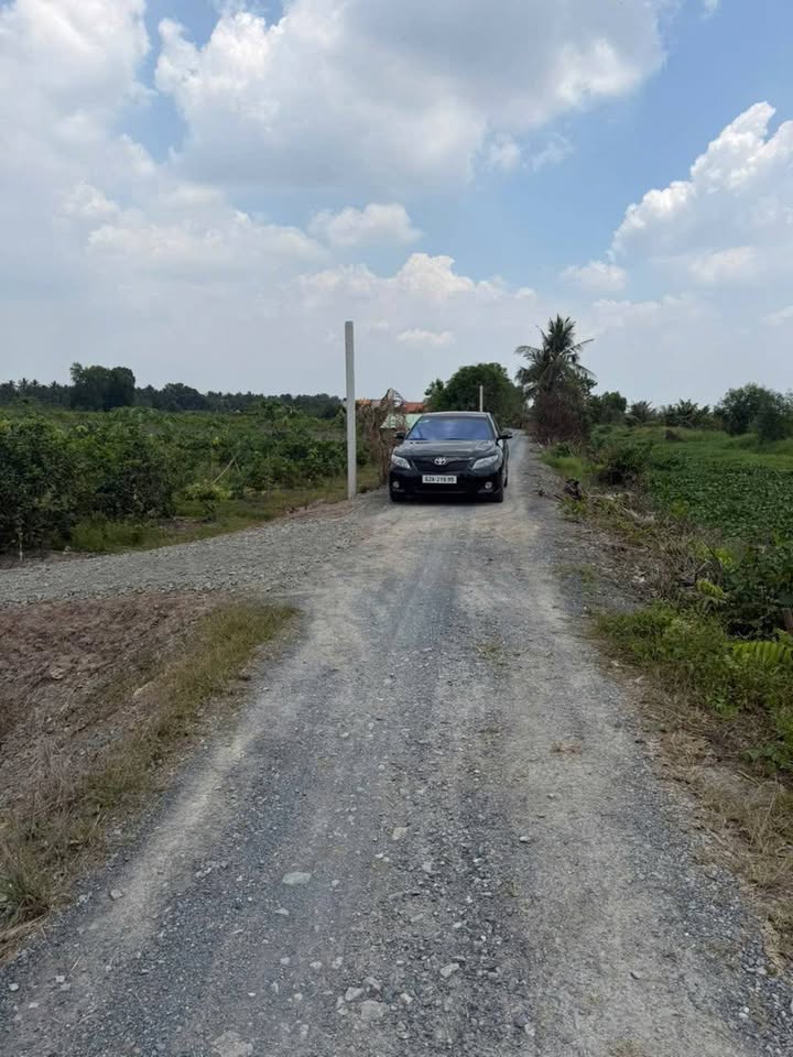 Đất Vườn Xã Thạnh Lợi, Bến Lức 1000m² - An Cư & Nghỉ Dưỡng Lý Tưởng