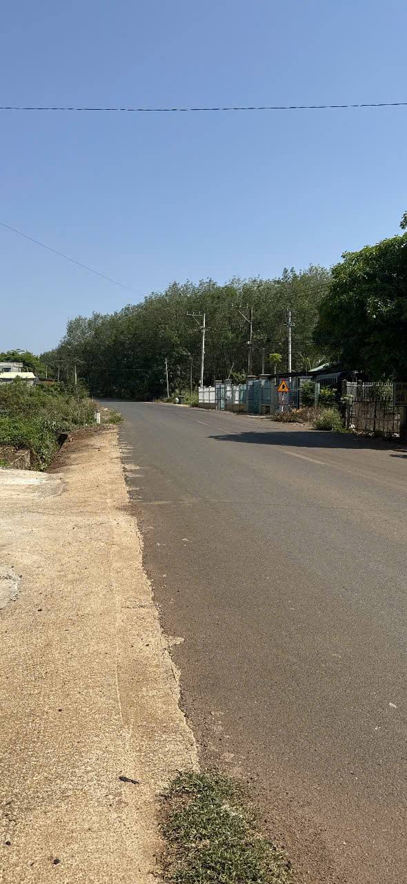 Đất Nền Đồng Phú 2480m² - Sổ Đỏ Sẵn Sàng - Giá Thỏa Thuận