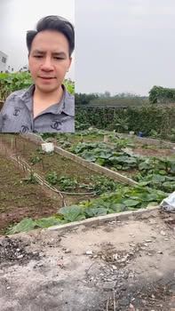 Đất nền Đan Kim Văn Giang 67m² - Sổ đỏ sẵn sàng, giá 3 tỷ