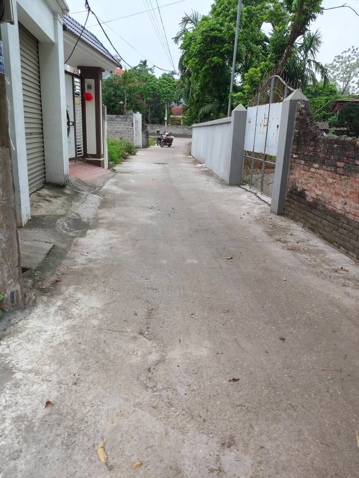 Đất Vàng Hòa Mạc 113m² - Kinh Doanh Sầm Uất, Gần Trường Học