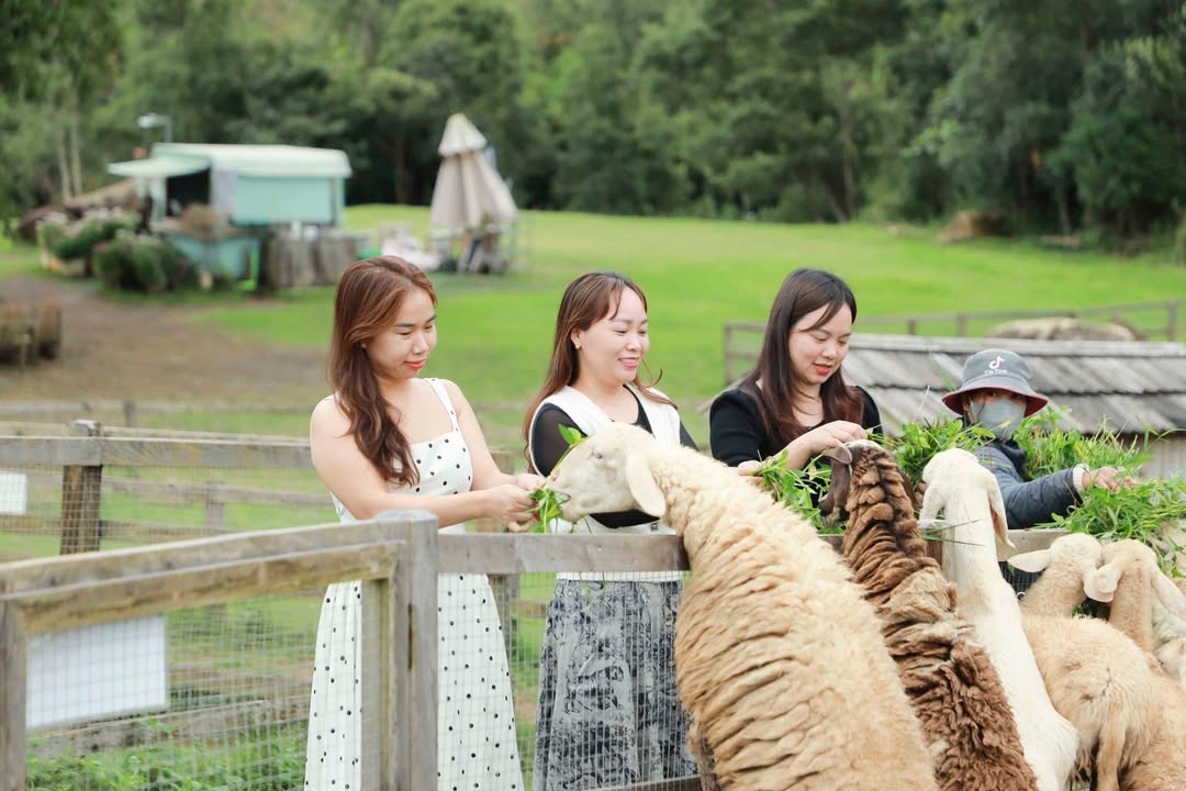 Đất Vàng 112m² Mặt Tiền Lê Sáng, Hồng Bàng - Kinh Doanh Sầm Uất