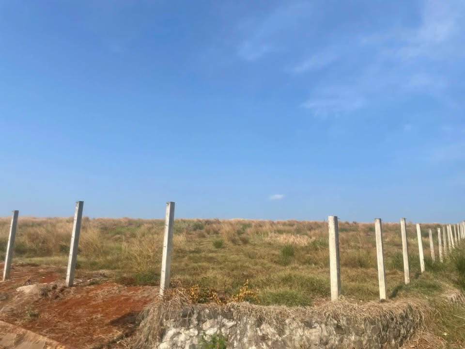 Đất Vàng Bình Tân 30.000m² - Sổ Hồng Riêng, Giá Rẻ Bất Ngờ