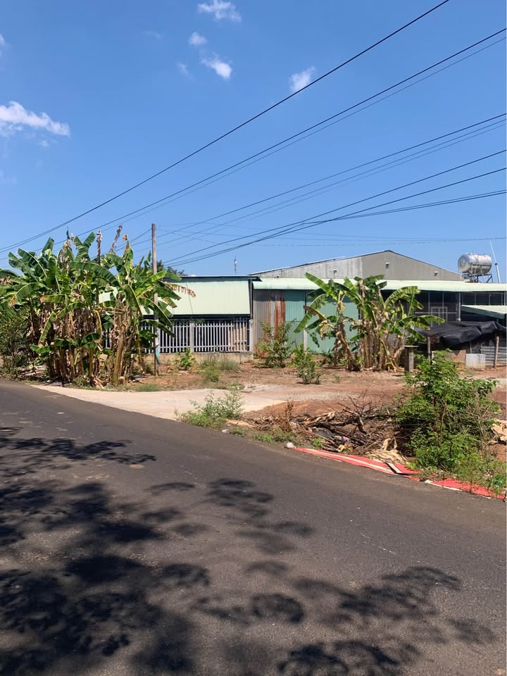 Đất Mặt Tiền Nhựa 1800m² Tiến Hưng, Đồng Xoài - Sẵn Sổ Hồng