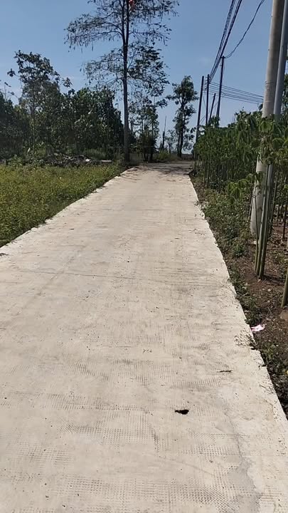 Đất nền Cẩm Mỹ, Đồng Nai 187m² - Sổ đỏ sẵn, giá chỉ 5xx triệu