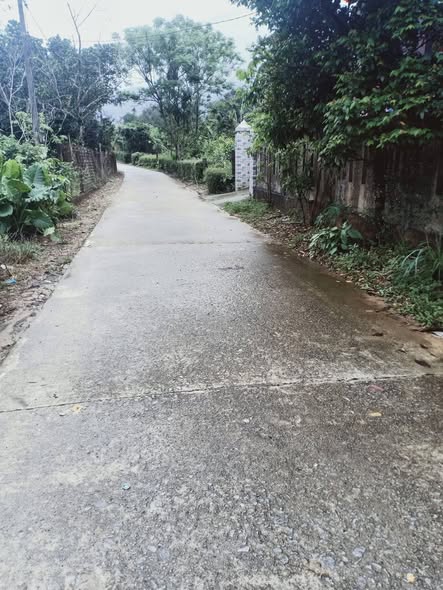 Đất Nền Phú Lộc, Huế - 130m² Sổ Đỏ Chính Chủ Giá Chỉ 450 Triệu