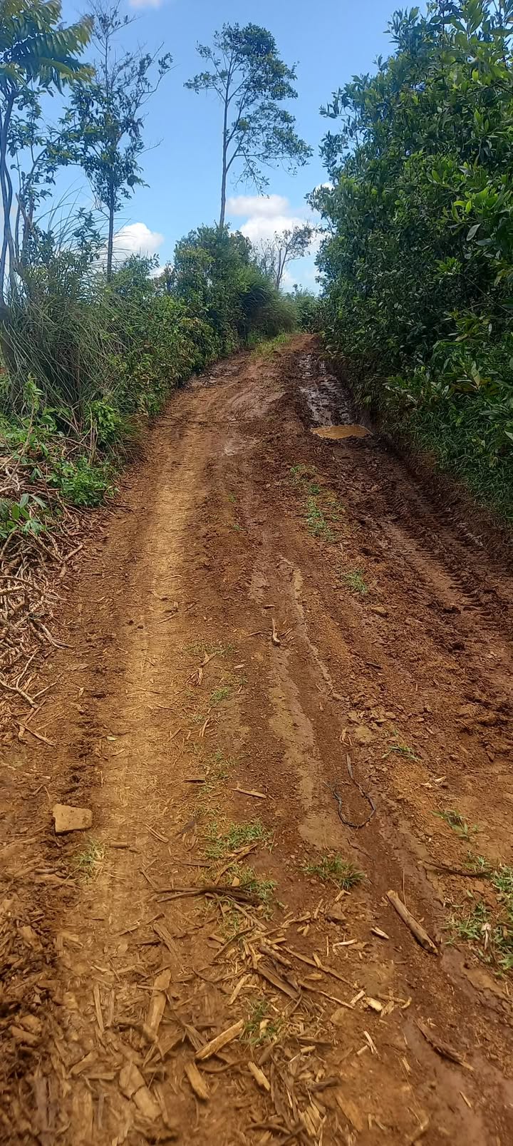 Đất Nền Cao Nguyên Vân Hòa 6100m² - Sổ Đỏ Sẵn Sàng, Giá Đầu Tư 500 Triệu