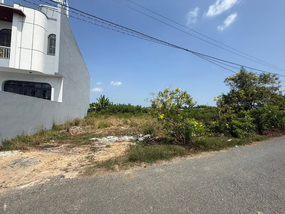 Đất Nền Xây Villa Mặt Tiền Huỳnh Thị Luông, Cần Giuộc - Giá Tốt