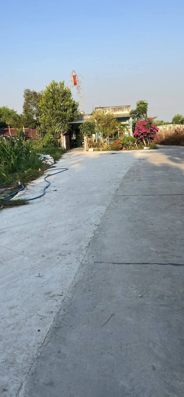 Đất Dĩ An 1200m² Đường Nguyễn Công Hoan - Giá Đầu Tư 5 Tỷ X Triệu